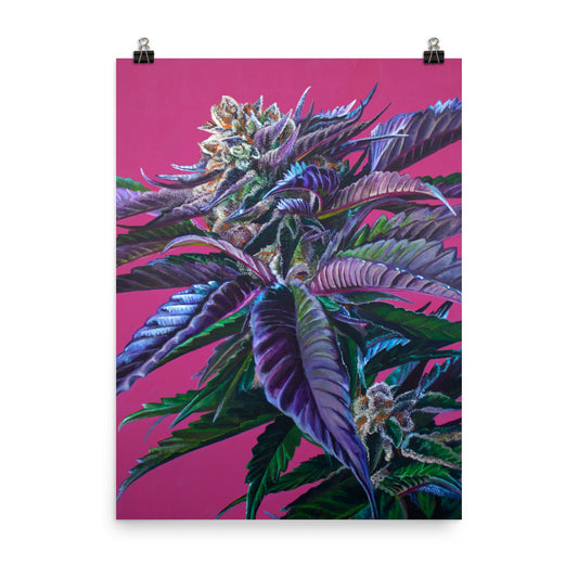 Tropicana Punch 18"x24" Poster