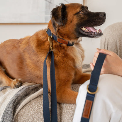Tilley + Me Hemp Cotton Dog Leash