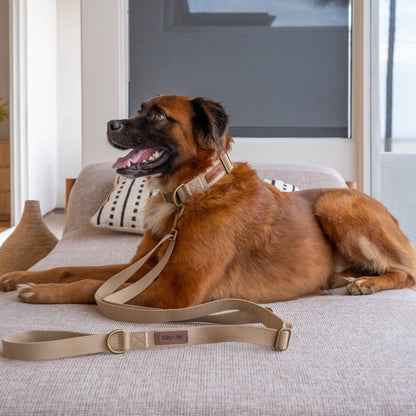 Tilley + Me Hemp Cotton Dog Leash