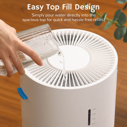 Ethereal Rain Air Purifier & Humidifier Combo