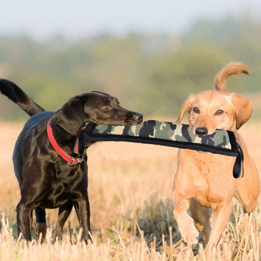 Molar Fine Hemp Dog Training Stick