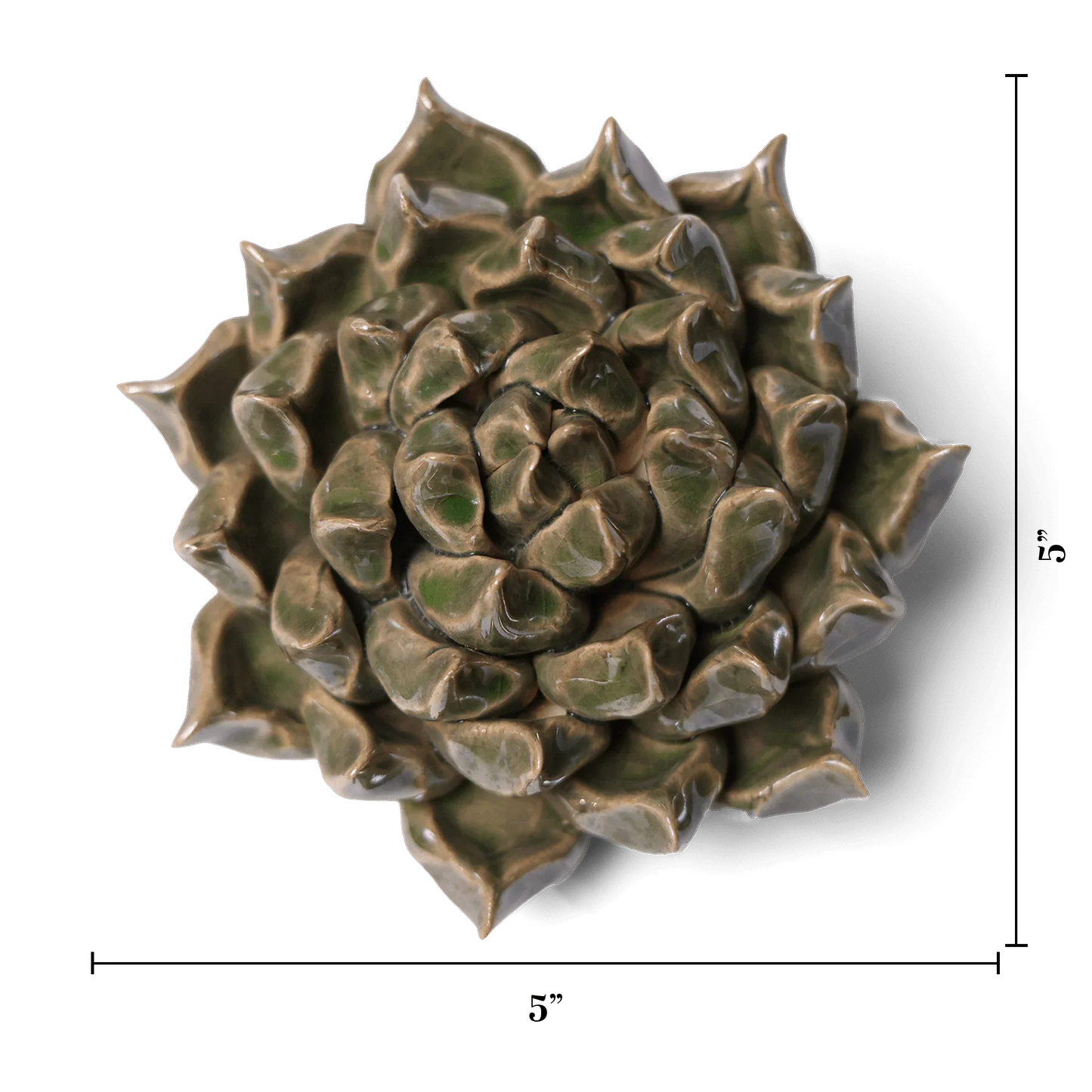 Ceramic Flower Wall Art Succulent Green