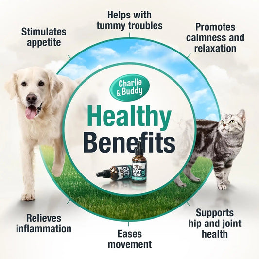 Charlie & Buddy Hemp Oil for Dogs & Cats- Calming & Joint Support
