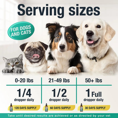 Charlie & Buddy Hemp Oil for Dogs & Cats- Calming & Joint Support