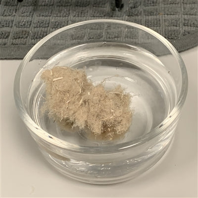 100% American Hemp Short  Fiber 0.5"