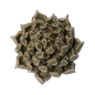 Ceramic Flower Wall Art Succulent Green