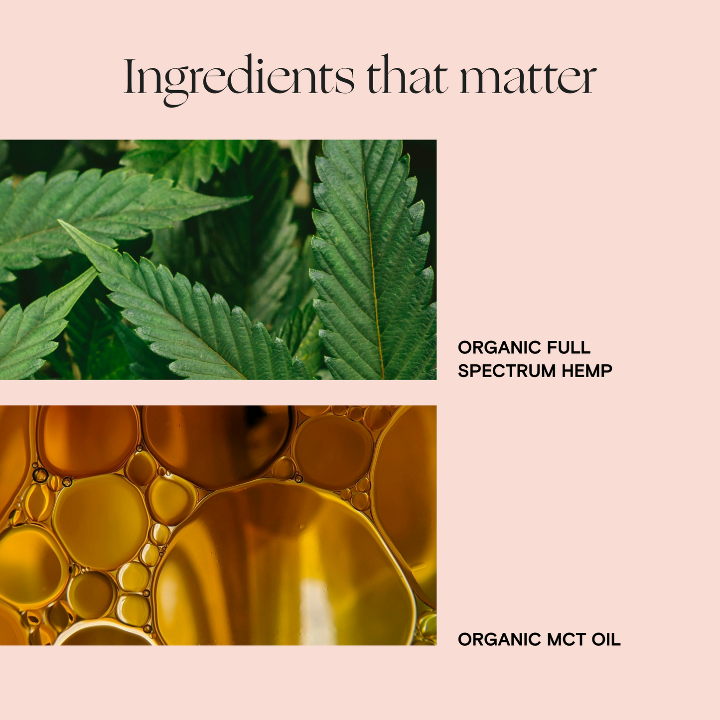 Daily Blend Full-Spectrum CBD