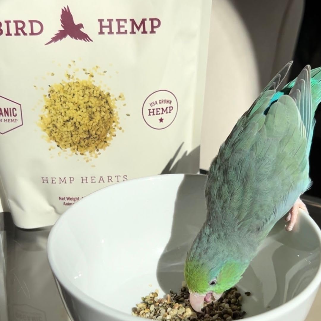 Organic Hemp Hearts for Birds Feather Plucking Support Relaxation - 8oz