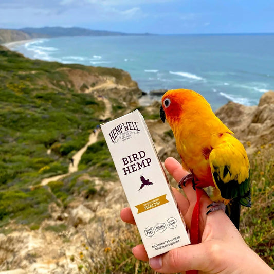 Organic Hemp Oil for Birds- Feather & Immune Support Parrot 2oz