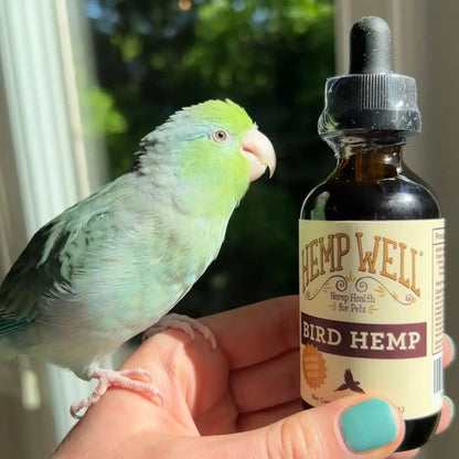 Organic Hemp Oil for Birds- Feather & Immune Support Parrot 2oz