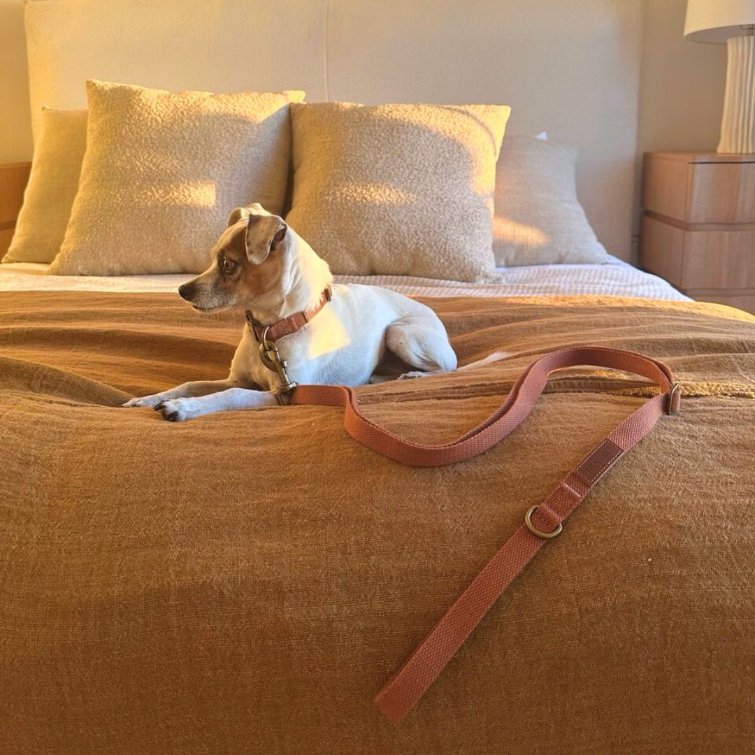 Tilley + Me Hemp Cotton Dog Leash