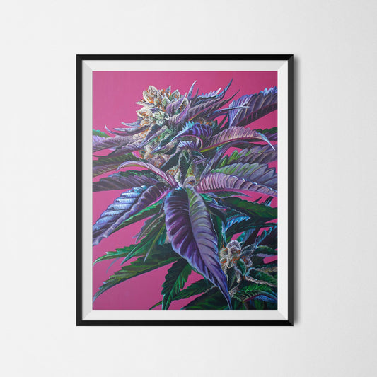 Tropicana Punch 18"x24" Poster