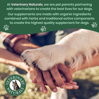 Dog Hip Joint Supplement Hemp Glucosamine Chews for Senior Large Breed