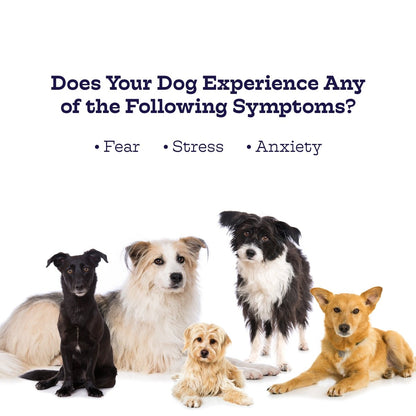 Chillout Chews for Dogs