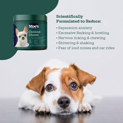 Chillout Chews for Dogs