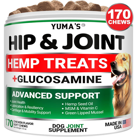 Hemp Hip & Joint Supplement for Dogs Glucosamine & MSM Joint Pain Relief