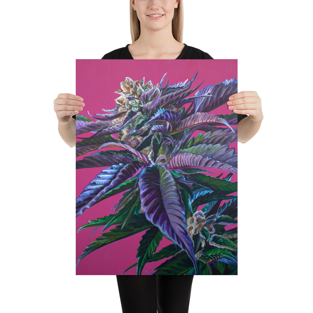 Tropicana Punch 18"x24" Poster