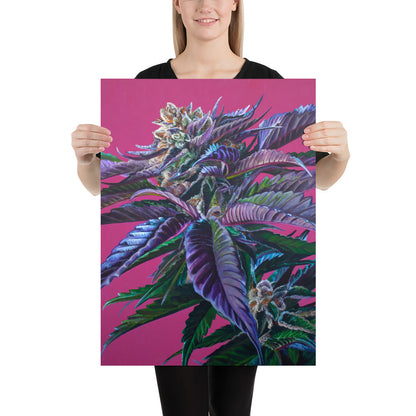 Tropicana Punch 18"x24" Poster