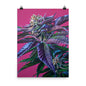 Tropicana Punch 18"x24" Poster