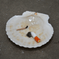 March Made In Shell Ashtray